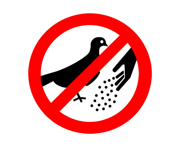 protection